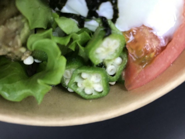 ネギトロたっぷりアボガドボウル2-4