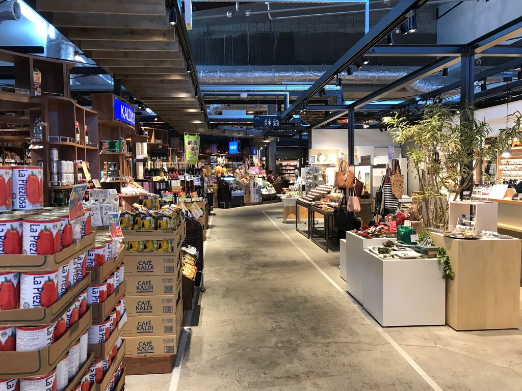 高知市 蔦屋書店をふ らふら 徳島 おいしい 楽しい 高知市 蔦屋書店をふ らふら 徳島 おいしい 楽しい