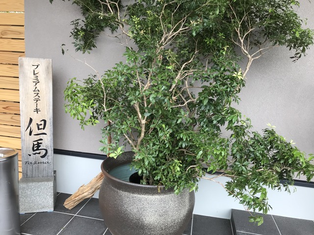外観2-4