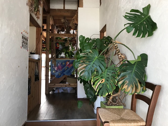 店内1