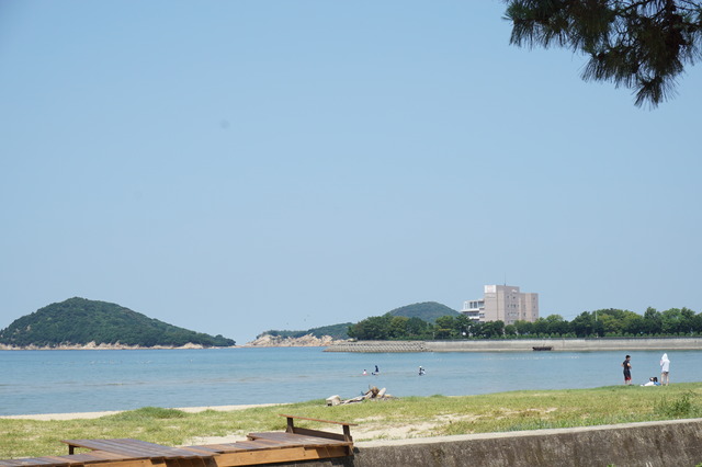 海岸