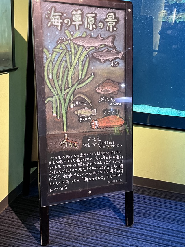 ❹海の草原の景