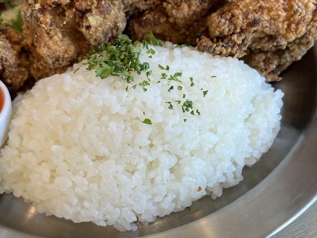 唐揚げプレート1-4