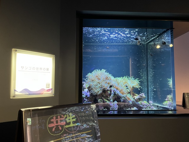 ❶-2サンゴ礁の景共生1