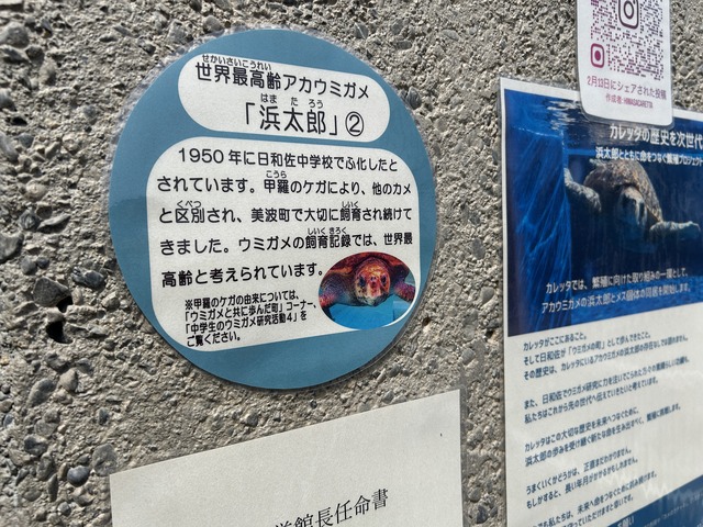 050