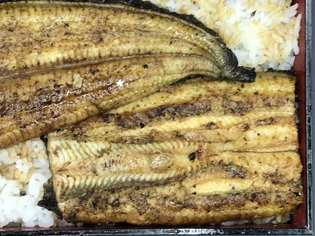 ウナギ弁当上1-1-2