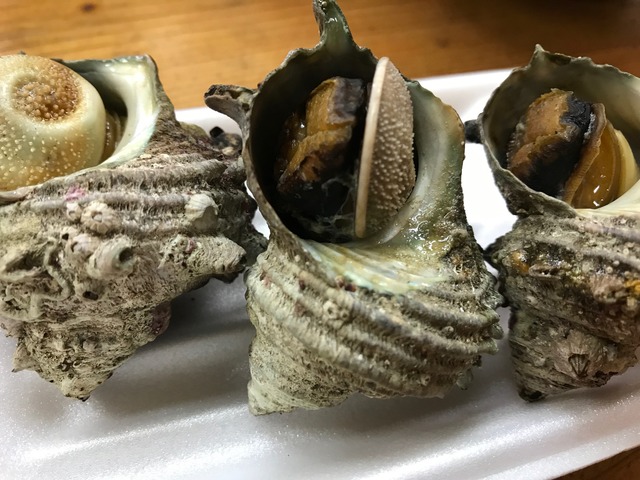 サザエつぼ焼き3