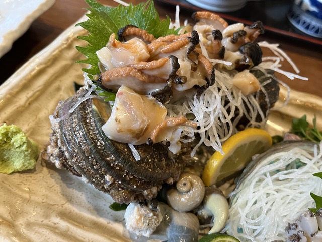 あわび＆サザエ1-2-2