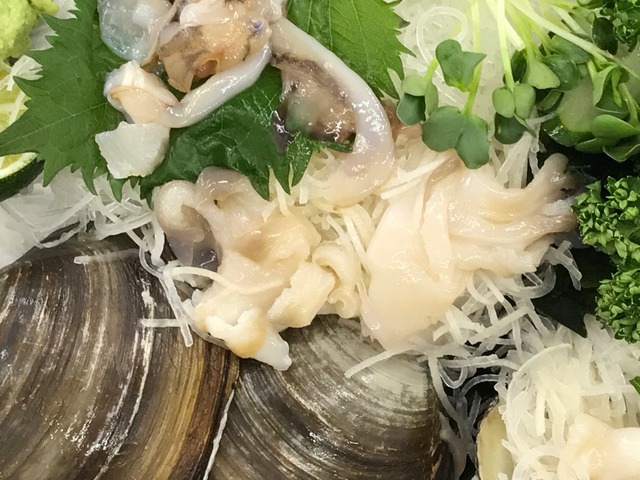 北寄貝2-1