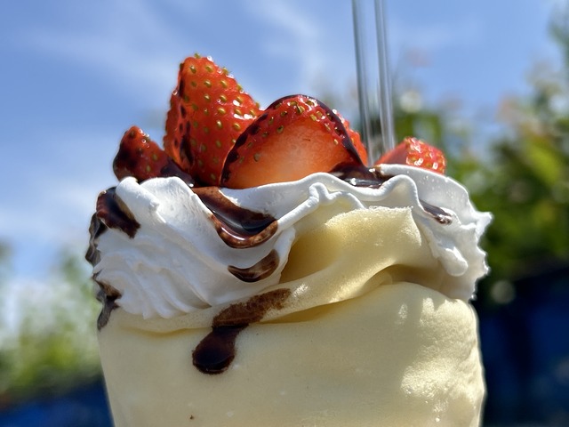 チョコいちご1-1-16