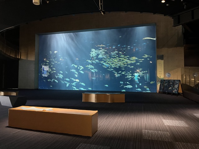 錦津見大水槽1-1-2