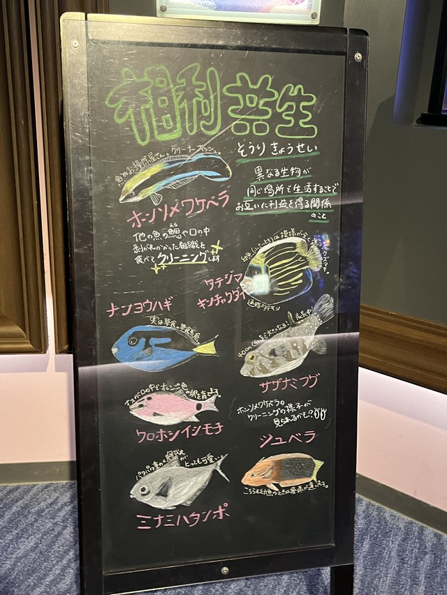 ❶-1サンゴ礁の景相利共生