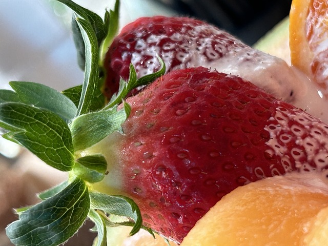 生メロンパフェ1-4-7