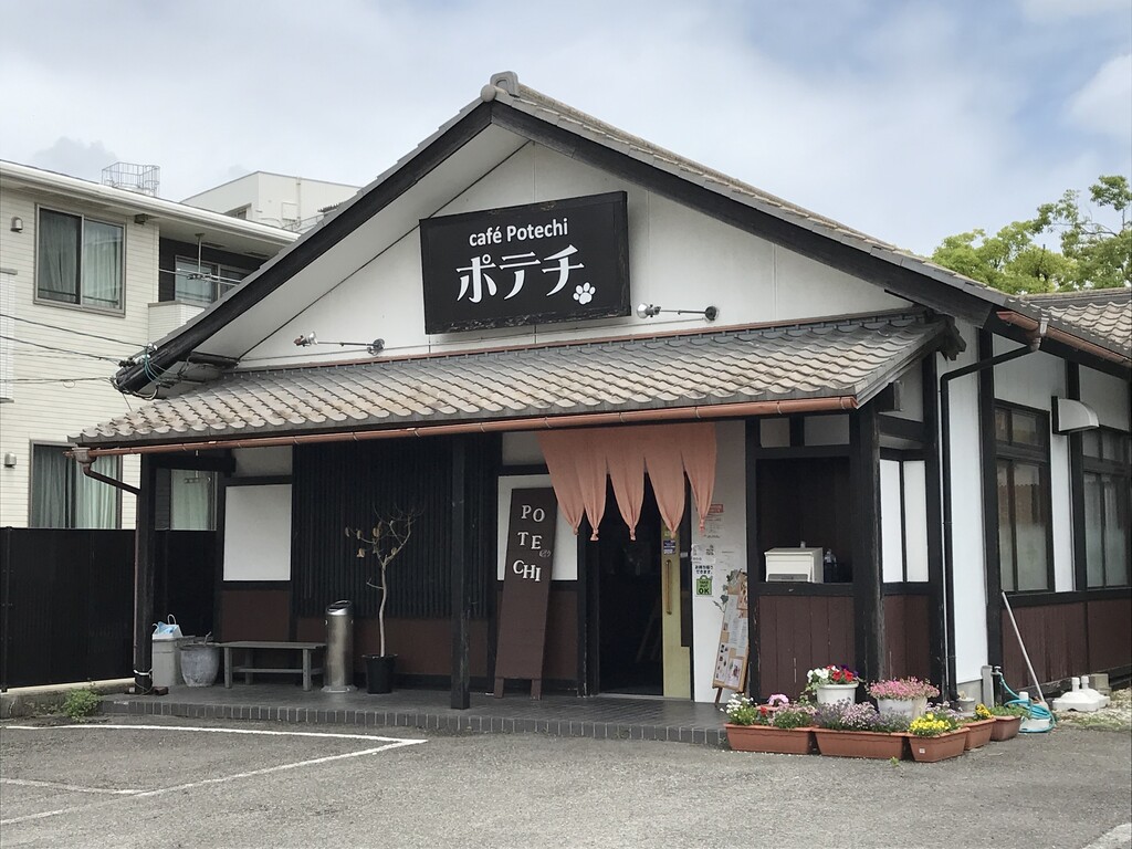 カフェでお弁当をテイクアウト カフェポテチ 徳島 おいしい 楽しい カフェでお弁当をテイクアウト カフェポテチ 徳島 おいしい 楽しい