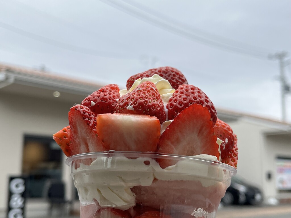🍓イチゴパフェをテイクアウト♪ 【板野郡北島町】GREEN＆GIFT : 徳島