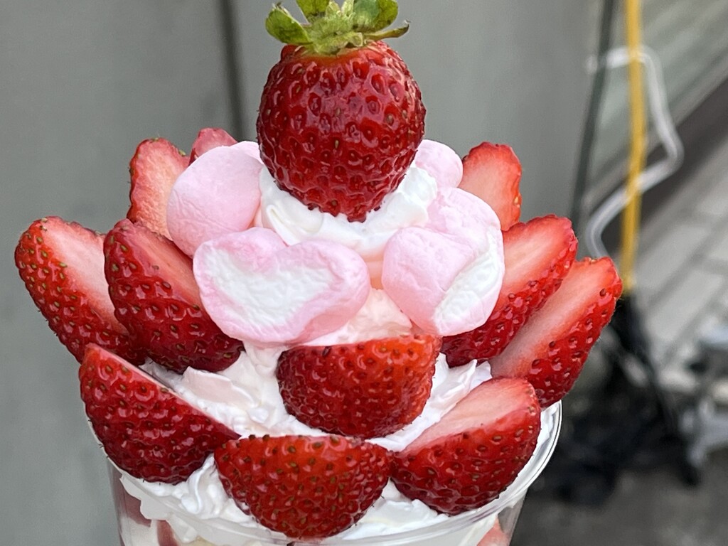 イチゴパフェをテイクアウト 徳島市山城町 Gonバーガー 徳島パンとスイーツと