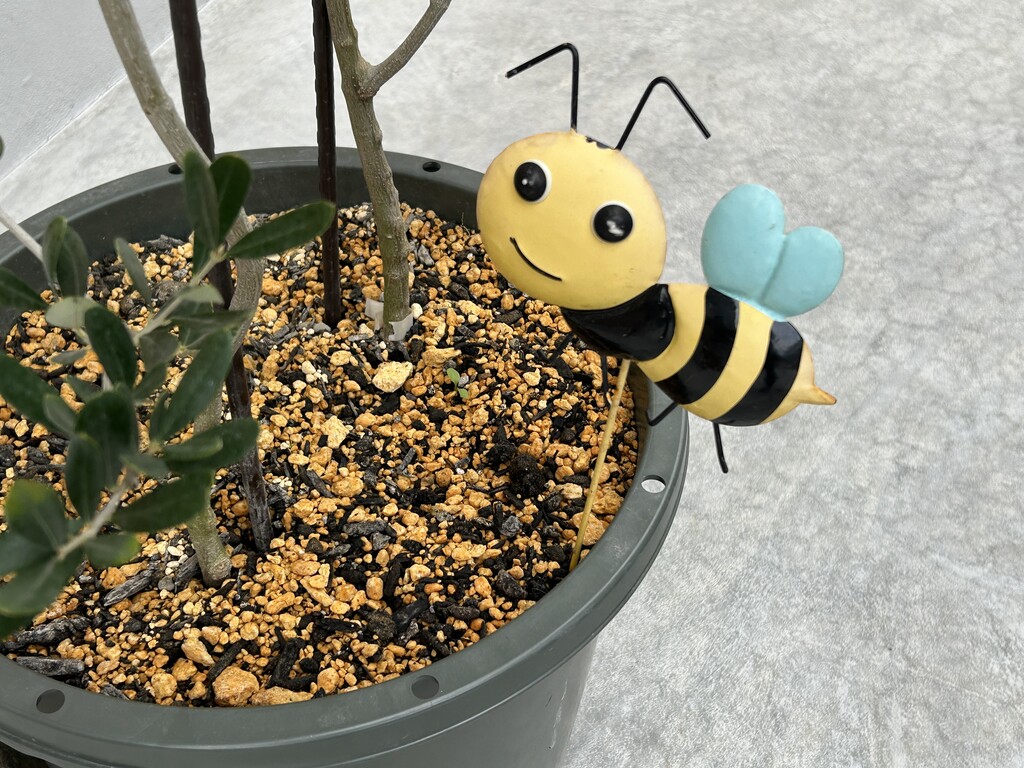 徳島県鳴門市】祝開店！ おやつの時間 みつばちBee : 徳島パンと