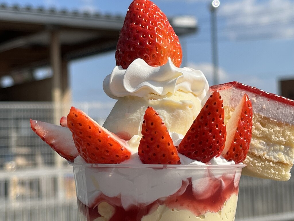 いちごパフェ☆様 ② お取り置き & リクエスト いちごパフェ様お取り置き いちごパフェ☆様 ② お取り置き &