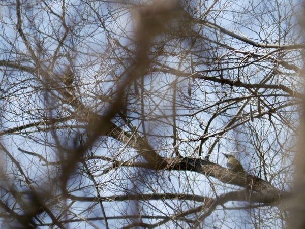 P1200722