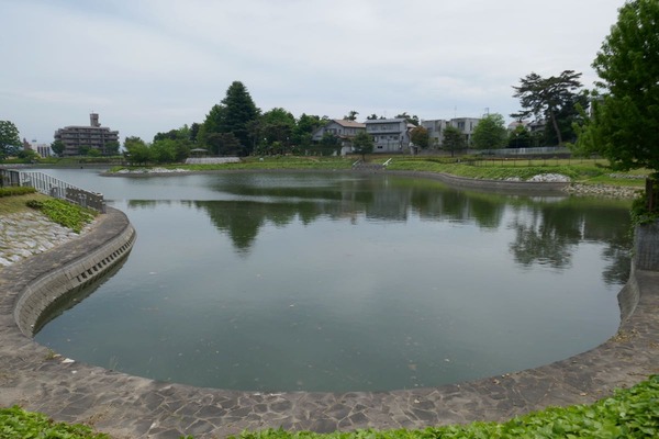 P1040204 (1)