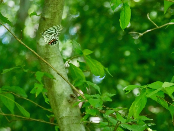 P1920853