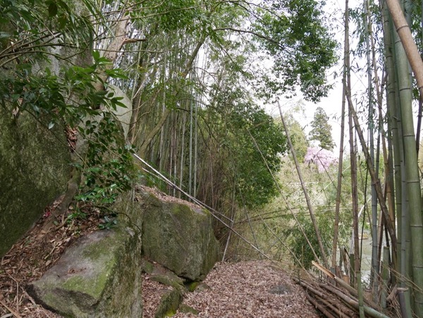 P1020004