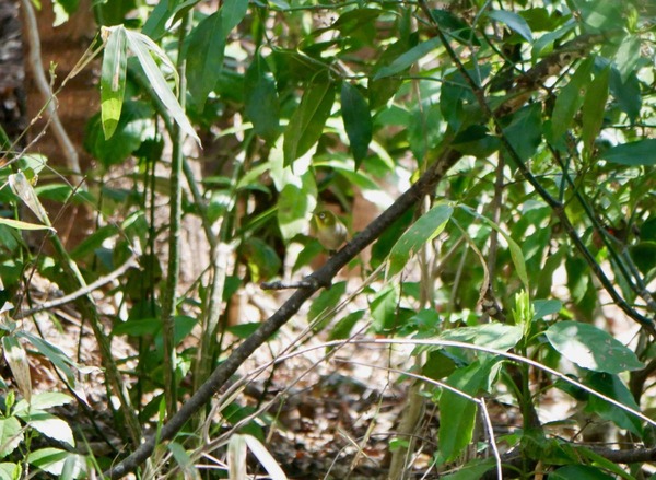 P1770612