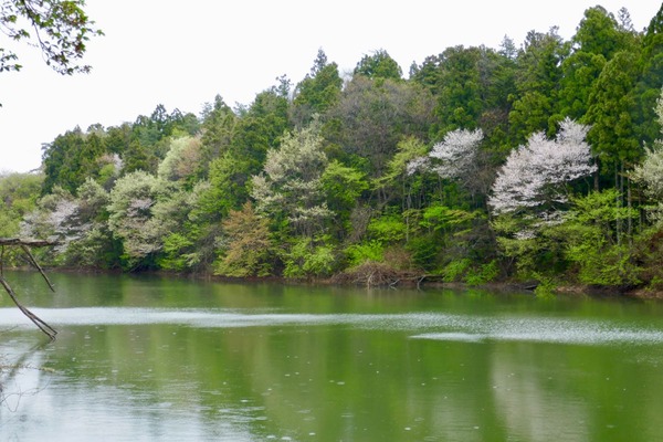 P1030121 (1)