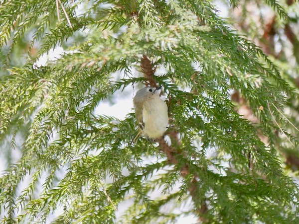 P1430506