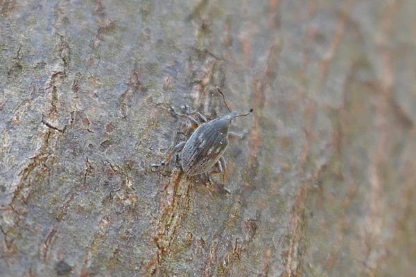 P1020783