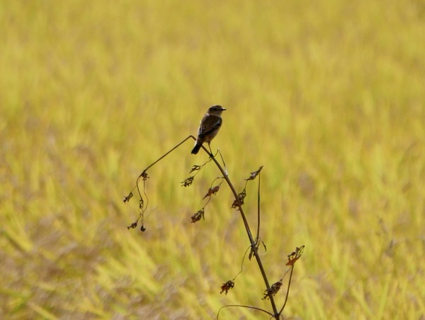 P1950378