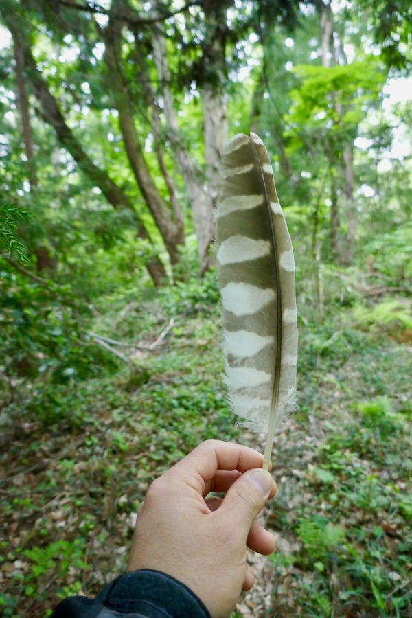 P1040042