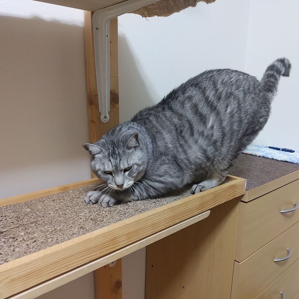 意識して心掛けてる事 その６ ガス風船日記