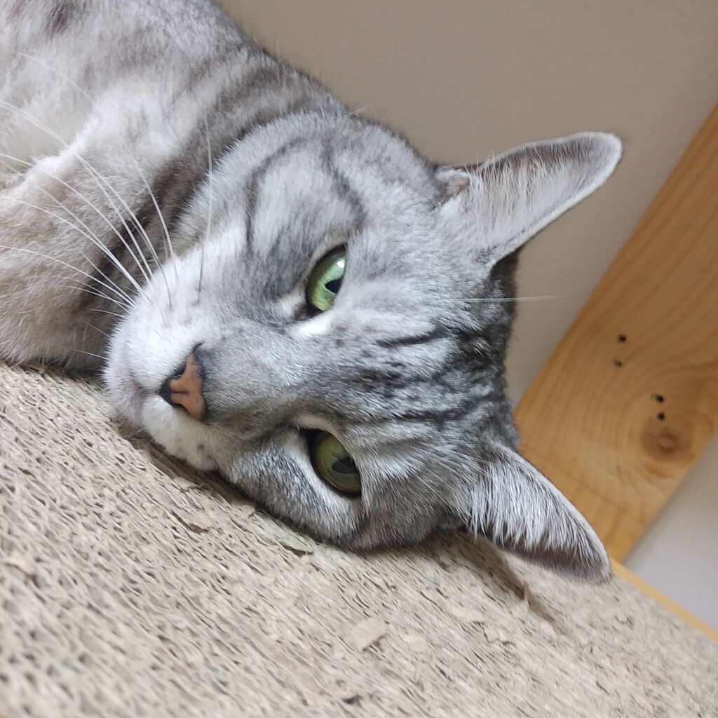 猜疑心の強い人 ガス風船日記