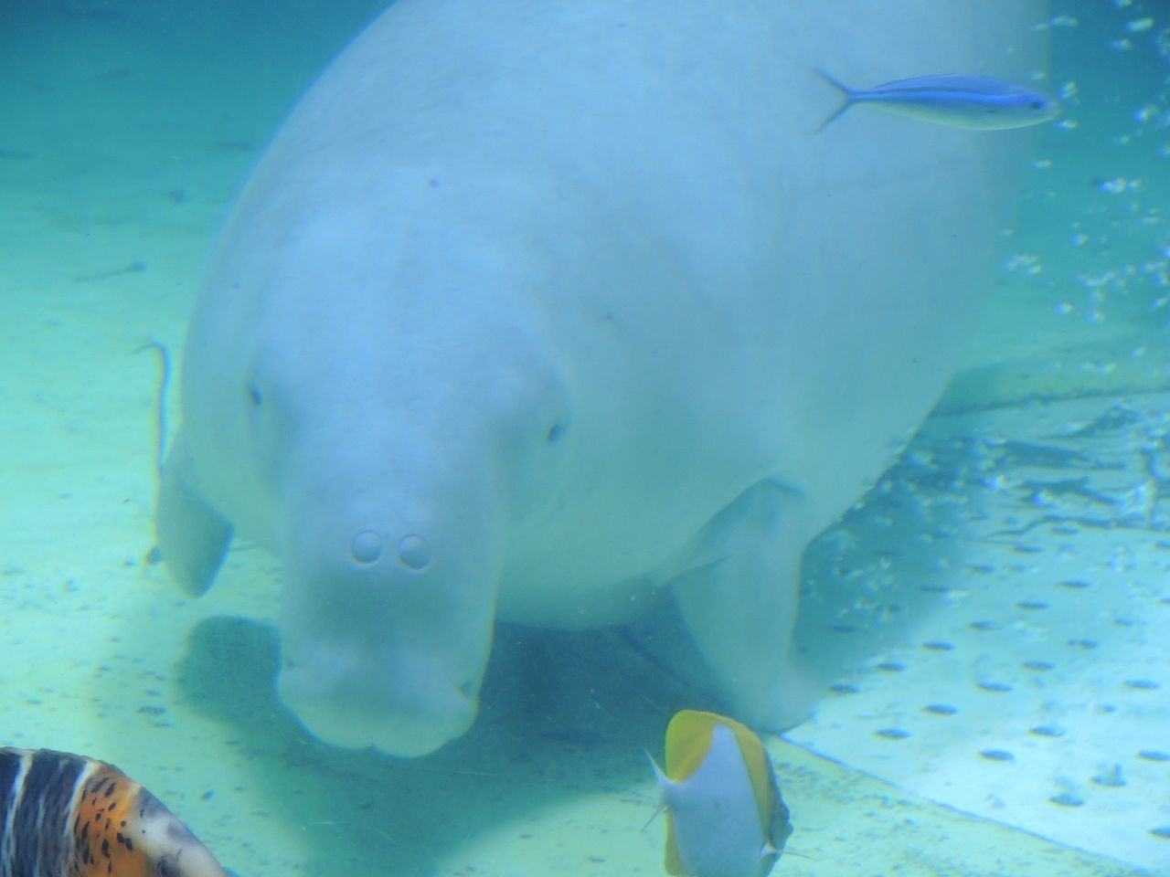 18年1月 伊勢神宮と鳥羽水族館への旅 その２ 男ひとり旅の美学 男ひとり旅の美学