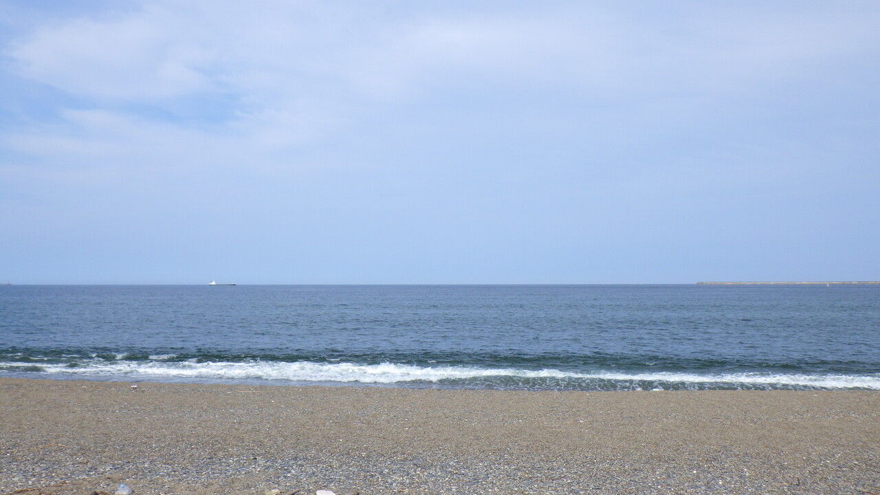 8 23 30 ハンミョウ探して海沿いドライブ Gasyunの虫メモ