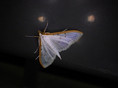 RIMG6828