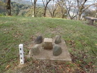 PA040040