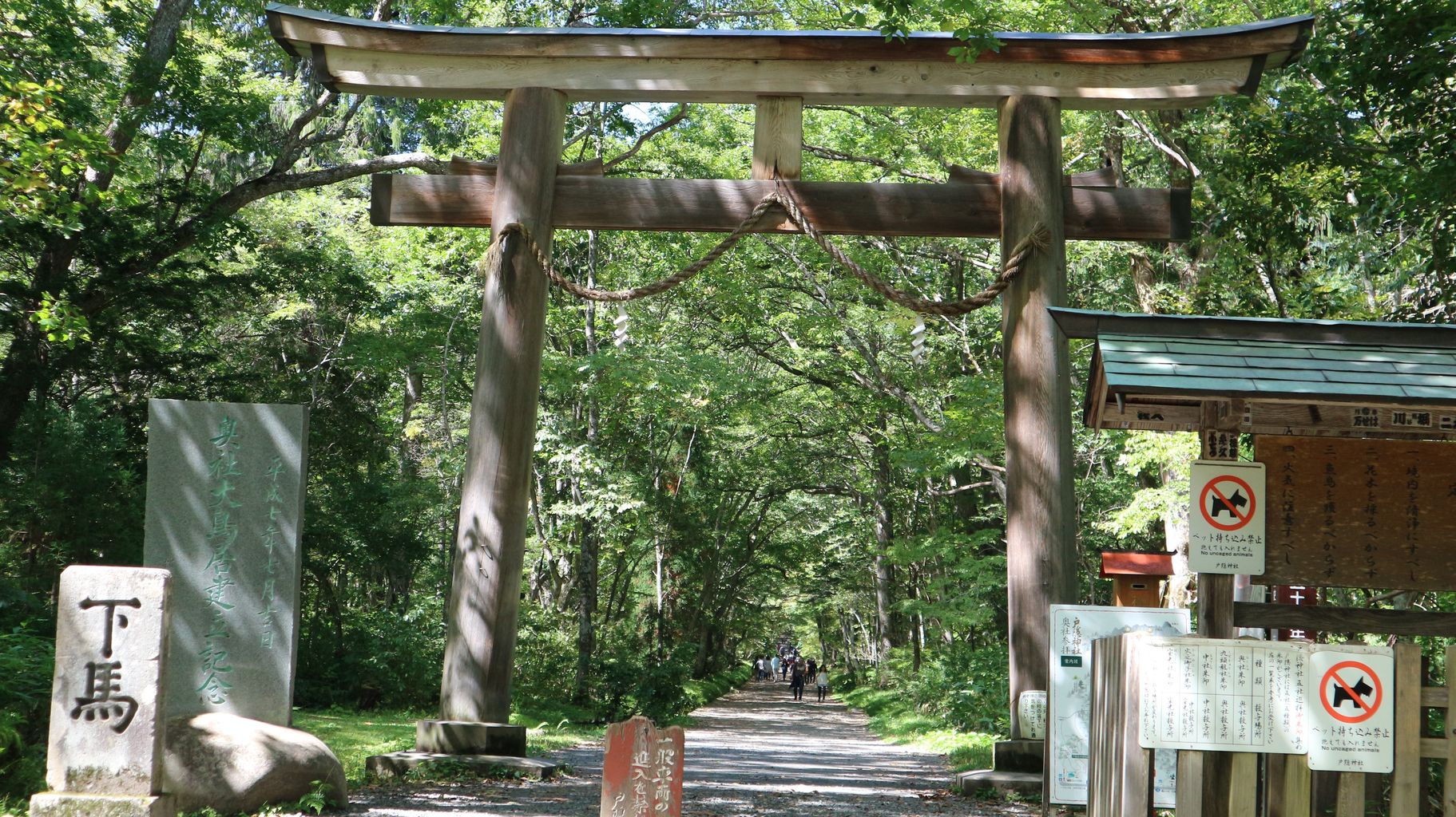 神秘的なパワースポット戸隠神社奥社 戸隠神社 奥社 九頭龍社 長野 戸隠 ガトショコのふらり食レポ