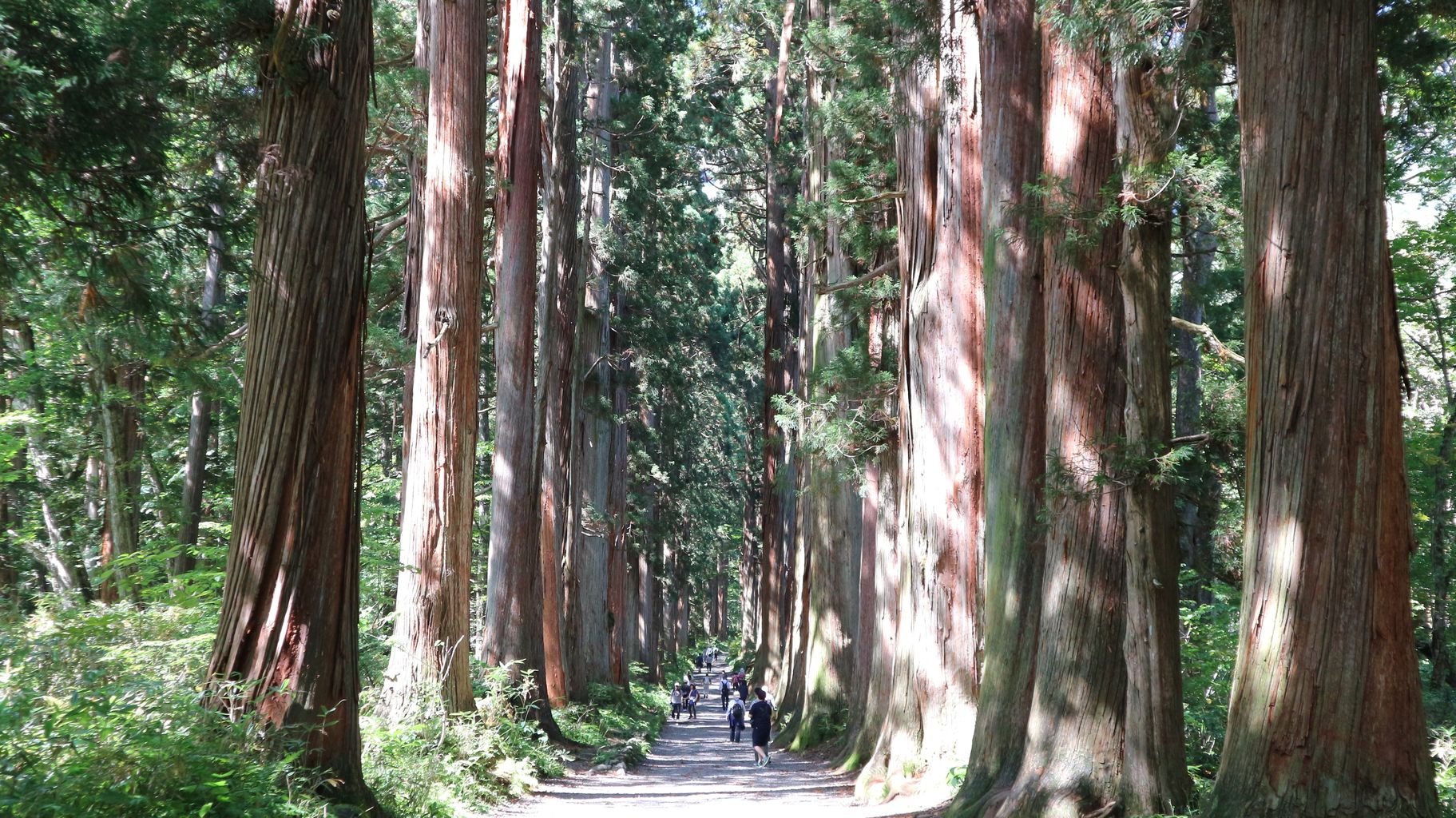 神秘的なパワースポット戸隠神社奥社 戸隠神社 奥社 九頭龍社 長野 戸隠 ガトショコのふらり食レポ