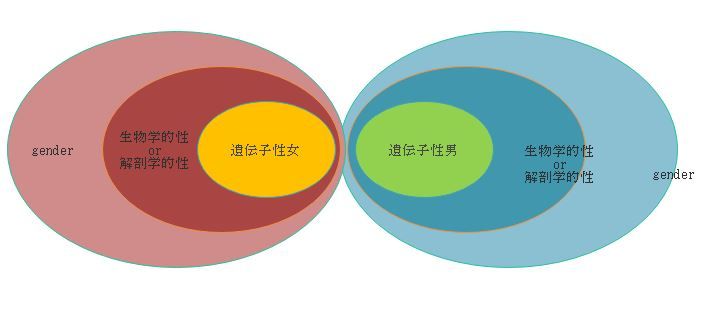 トランセルマーチ 革ってる部屋 トランセルマーチ 革ってる部屋