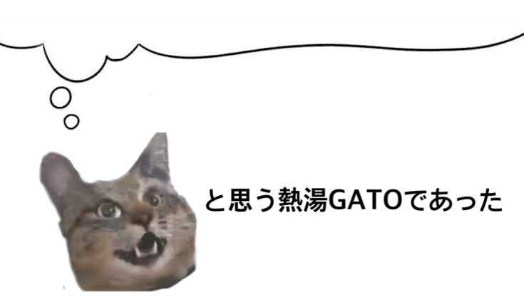 と思う熱湯gatoであった 大矢誠の世界ネコ歩き