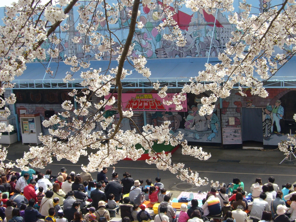 かみね公園の桜 Hr Hmでrc 清志郎なトコ