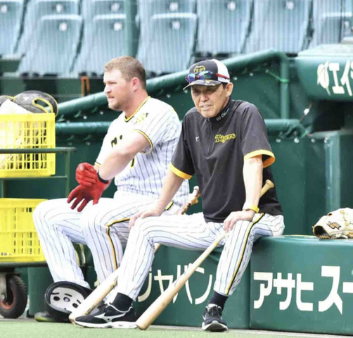 阪神・ノイジー　２３日・ＤｅＮＡ戦でスタメン復帰　岡田監督が明言「３番でいくよ」