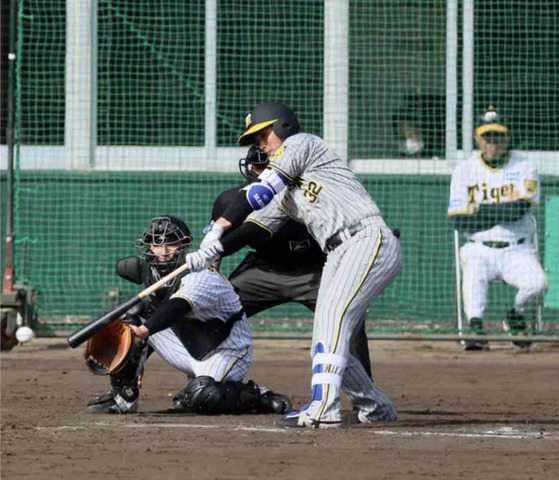 【阪神】井上広大適時打も「ちょこんと当てやがって。ああいう打ち方いらんって」岡田監督辛口