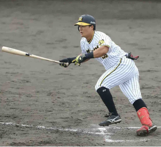 【阪神】前川右京が２軍で公式戦５戦連続安打「代打は打席にかける思いも違ってくる」