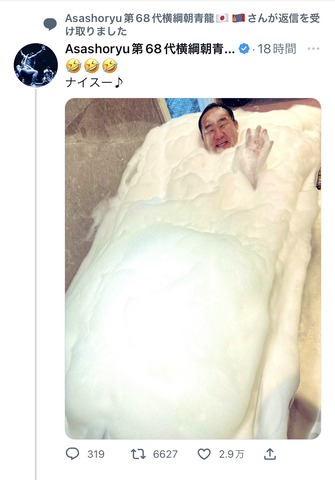 【画像】朝青龍ことドルジさん、泡風呂に入りご満悦ｗｗｗｗｗｗｗｗｗｗｗｗｗｗｗ