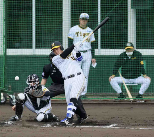 【阪神】井上広大“チーム初安打”「長打を打ちたい気持ちもありますけど」しぶとく適時打でアピール