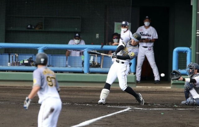 阪神佐藤輝明フェニックスリーグで４打数無安打　ヤクルト木沢とドラ１対決