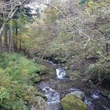 ��ư����ë